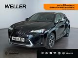 Lexus UX 250h Style Edition *Bi-LED*ACC*CAM*SHZ*CarPla - Lexus aus 2021