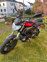 Yamaha MT125 - Angebote