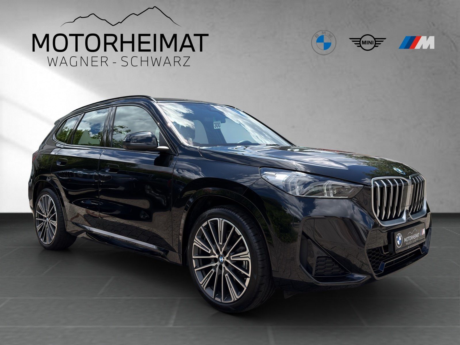 BMW X1 xDrive30e M Sport 20 H&K Aktivsitz ACC 1,49% foto 5