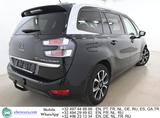 Citroën Grand C4 Picasso 1.5 BlueHDi Lounge 7PL Aut. LE - Citroën Grand C4 Picasso / SpaceTourer mit Anhängerkupplung
