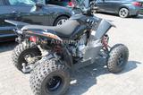 Access Motor XTREME 300 mit Lof Zulassung - QUAD 300