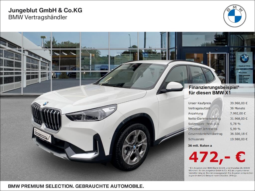 BMW X1 18i sDrive xLine Park-Assistent/AHK/ParkAssis