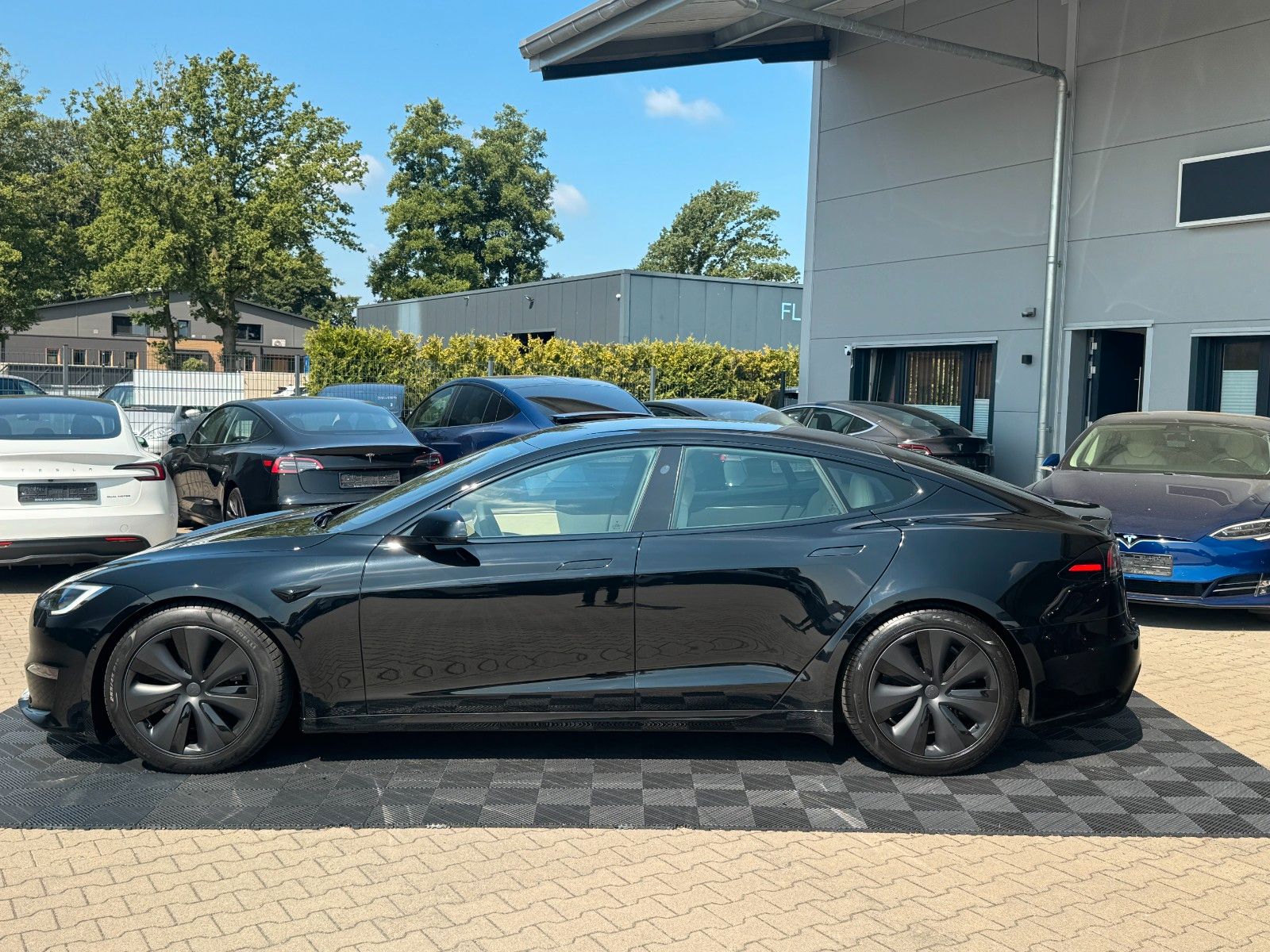 Tesla MODEL S PALLADIUM MATRIX CREAM foto 4