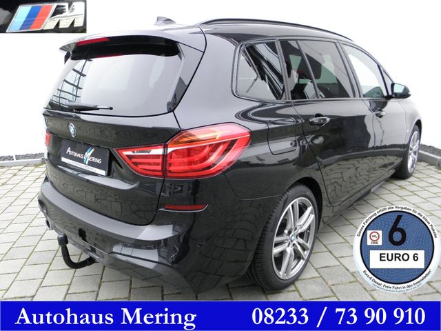 BMW 218iA MAero + Sportp AHK 18"Zoll Reling Kamera