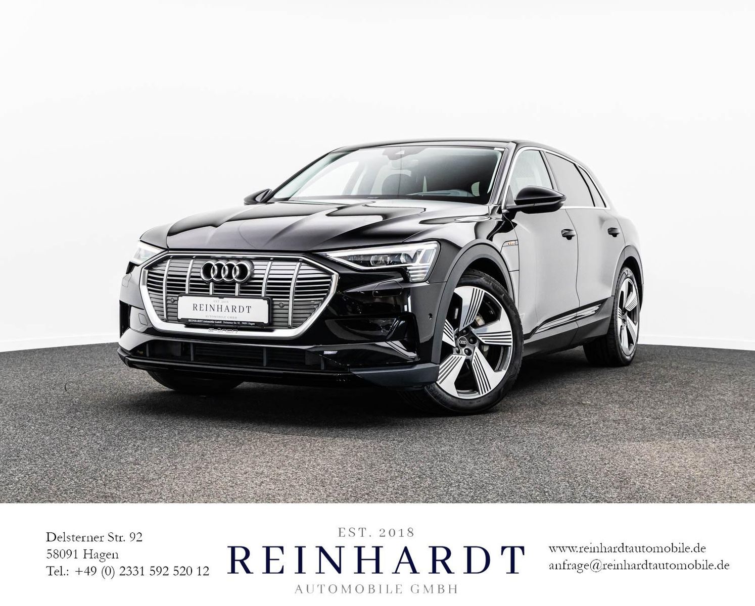 AUDI E-TRON 55 LED/TEMPOMAT/HuD/StHz./DSP/KAMERA/SHZ.