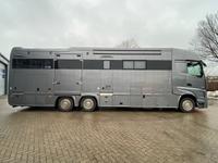 Mercedes-Benz Actros 2651 STX  Pop-Out,  5 Pferde
