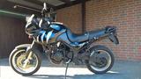 Triumph Tiger 955i - TRIUMPH TIGER 955I