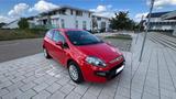 Fiat Punto Evo 1.2 8V inkl. Sandheizung 1te Hand - Fiat Punto Evo von privat