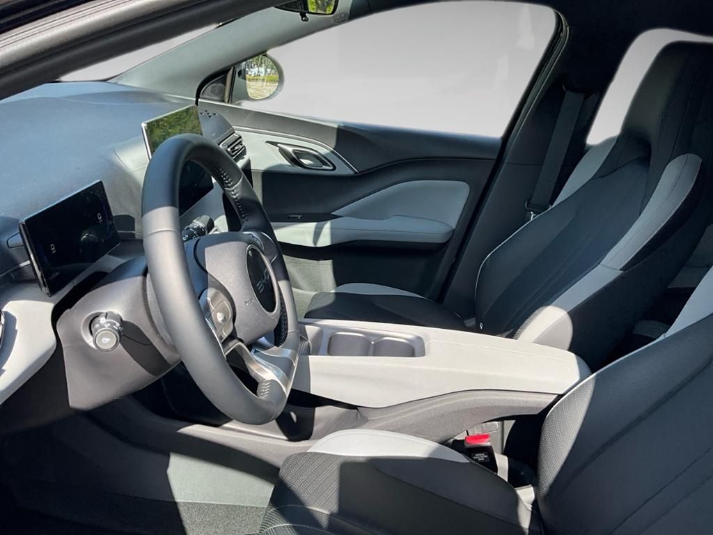 BYD DOLPHIN SURF