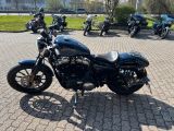Harley-Davidson XL883 Iron Sportster - HARLEY-DAVIDSON 883 SPORTSTER XL IRON