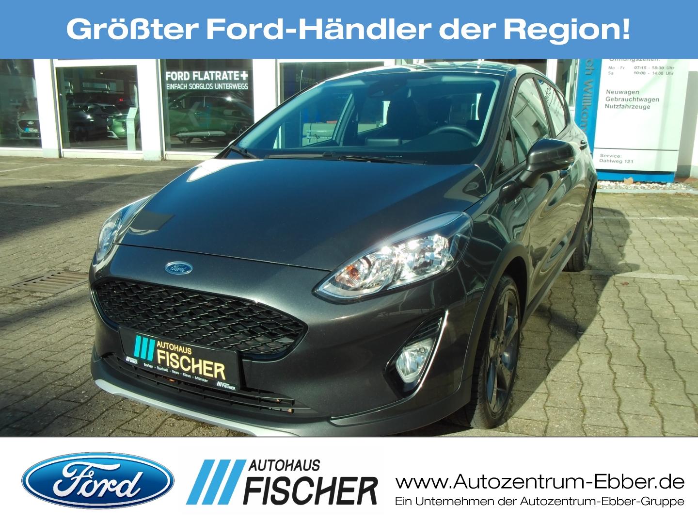Ford Fiesta 1.0 EcoBoost Active SHZ PDC Ganzjr. App