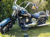 Harley-Davidson Softail Springer FLSTSI Heritage 2005 - Angebote entsprechen deinen Suchkriterien