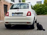 Fiat 500 1.2 8V LOUNGE 02/2018, 58Tkm, Leder, HU neu - Fiat 500: Standheizung