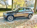 BMW X5 xDrive40e - High Executive - Neue Hybrid Akku - BMW: E40