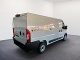 Fiat Ducato L2H1 MY25 30 120PS/RFK/KLIMA/RADIO/ - Fiat Ducato Tageszulassungen