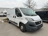 Fiat Ducato 130 Multijet L2 Lang Kühlfahrz... - Fiat Ducato: Lang
