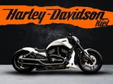 Harley-Davidson VRSCDX Night Rod Special -BBC- Jekill&Hyde- - HARLEY-DAVIDSON VRSCDX NIGHT ROD SPECIAL