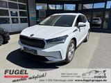 Skoda Enyaq 80 82kWh Wärmepumpe|SHZ|DC-Ladung|Navi|ACC - Skoda Enyaq Gebrauchtwagen