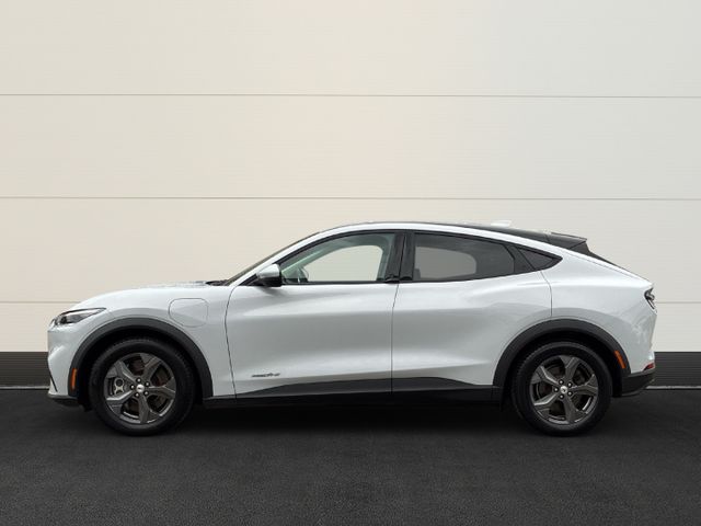 Ford Mustang MACH-E Basis ACC+Klima+Navi+Winter-Paket