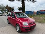 Fiat Panda 1.2 KLIMA - Fiat Panda Gebrauchtwagen in Frankfurt