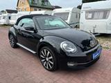 Volkswagen Beetle Cabriolet Design BMT+BI-XENON+SITZHEIZUNG - VW Beetle Gebrauchtwagen in Berlin