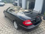 Mercedes-Benz CLK 350 CLK Cabrio CLK 350 - Mercedes-Benz CLK 350 Gebrauchtwagen