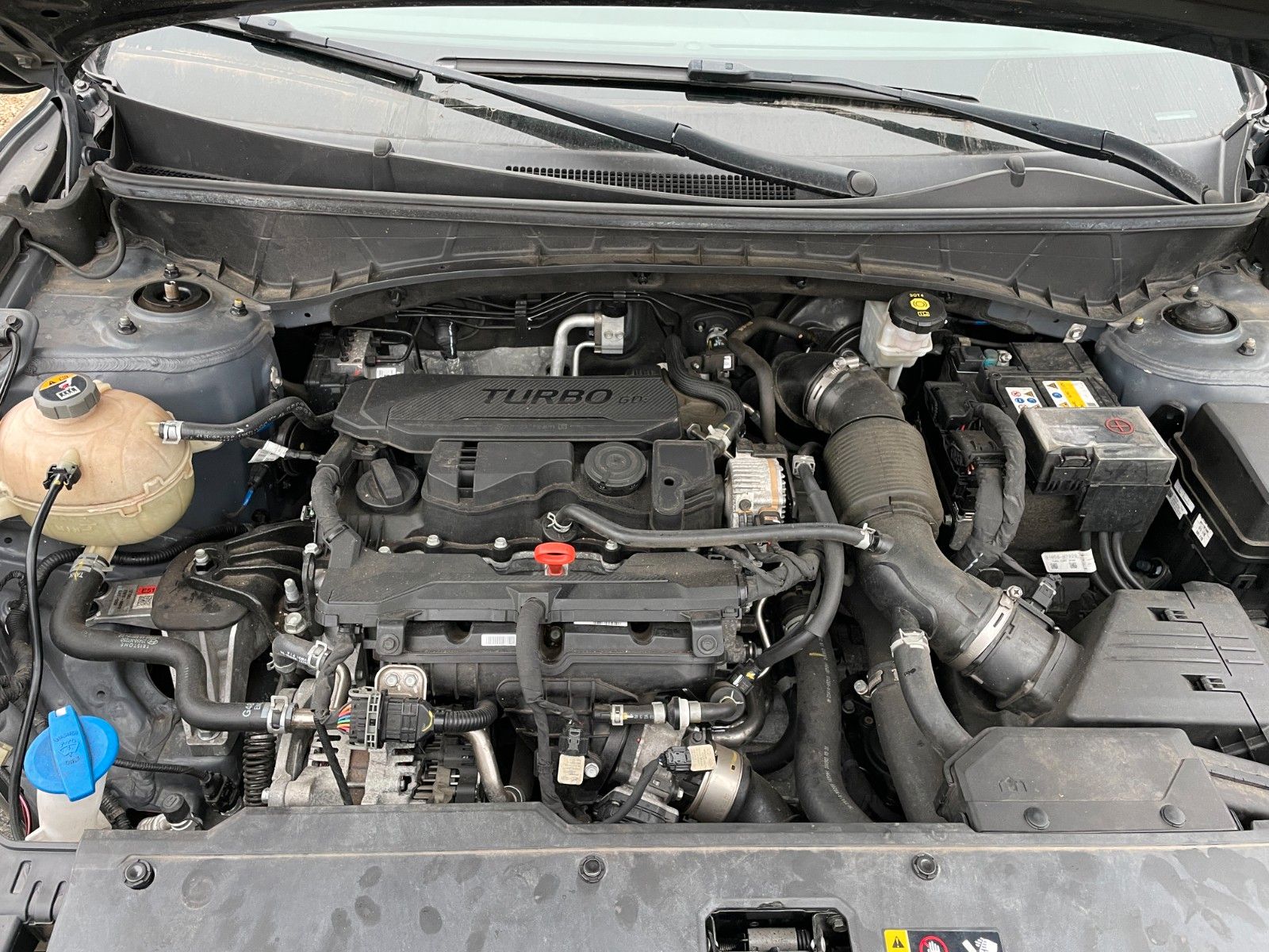 Hyundai Tucson Trend Mild-Hybrid 4WD-PANO-48V foto 9