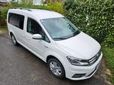 Volkswagen Caddy Maxi - Top Ausstattung - Raumwunder  - Volkswagen Caddy Maxi aus 2018