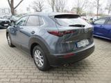 Mazda CX-30 2.5L e-SKYACTIV G 140 6MT Homura - Mazda CX-30 in Dresden