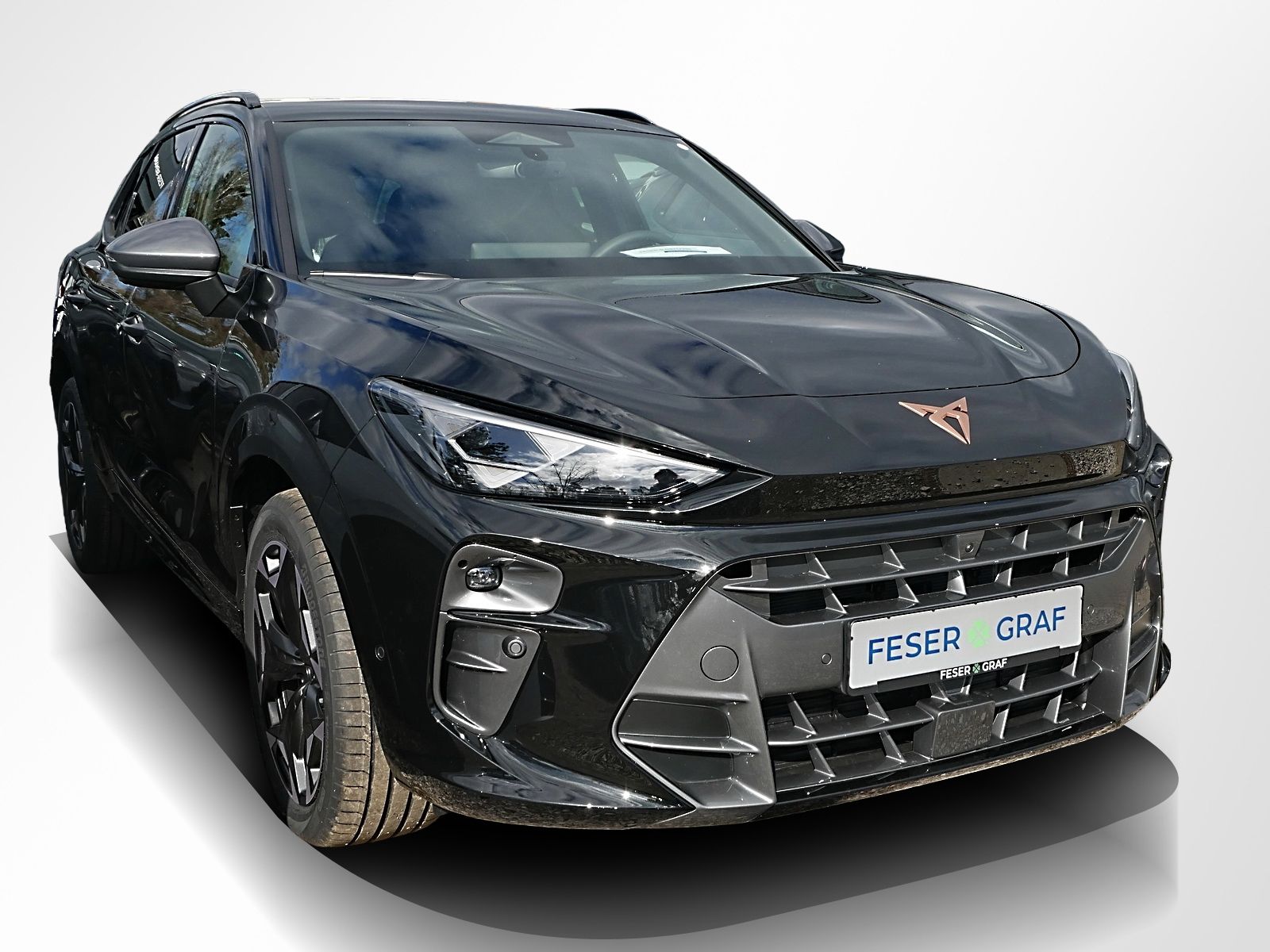 Cupra Terramar - Bild 5