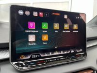 Cupra Terramar 2.0 TSI DSG 4D VZ HUD PANO 5JGAR AKTION bei Autohaus Landmann & Maier OHG