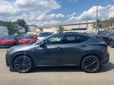 Lexus NX 450h+ E-Four F-Sport AHK abnehmbar, 1.Hand - Lexus NX 450h Gebrauchtwagen