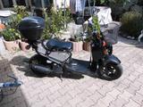 Honda zommer AF 55 - Angebote entsprechen deinen Suchkriterien
