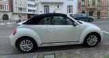 Volkswagen New Beetle Cabrio - super Zustand! - Volkswagen New Beetle: Automatik