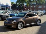 Volkswagen Beetle Lim. Design BMT*SHZ*MFL*NUR 22TKM*** - mit Diesel-Antrieb: Coupe, Braun