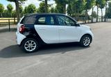 Smart Forfour in schicker Two-Tone Optik - Smart: For Two