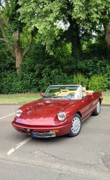 Alfa Romeo Spider, Rostfrei, Top Zustand