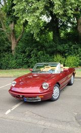 Alfa Romeo Spider, Rostfrei, Top Zustand