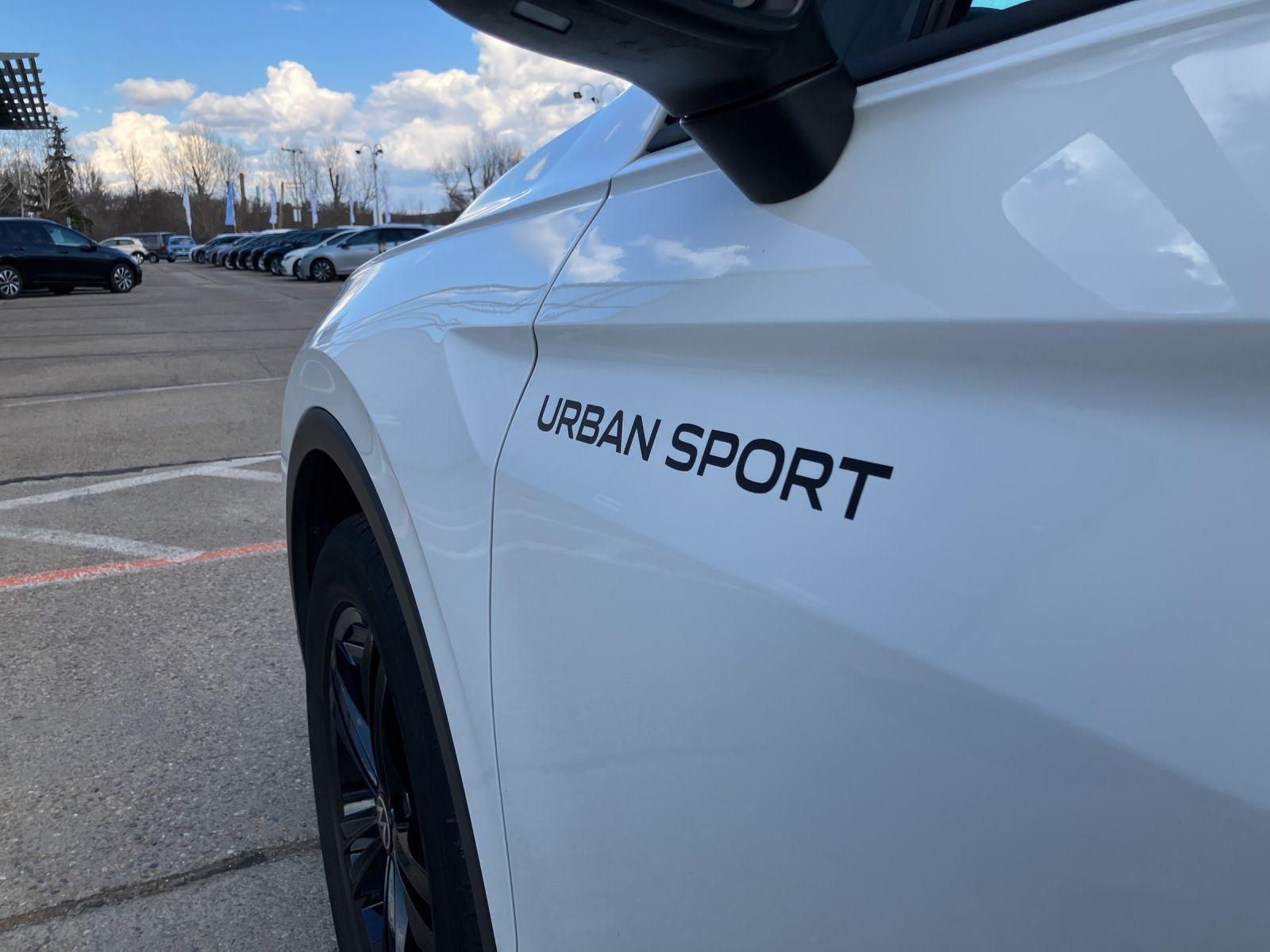 Fahrzeugabbildung Volkswagen Tiguan Life Sport TDI DSG LED ACC AHK SH Ambient