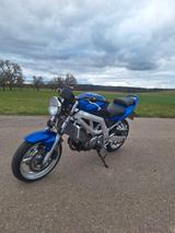 Suzuki SV 650 - SUZUKI 2005 SV650