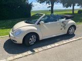 Volkswagen New Beetle 1.4 United Cabriolet, neues Verdeck! - Volkswagen New Beetle: United