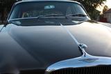 Jaguar MK10 mit Borrani Felgen - Jaguar: Mk