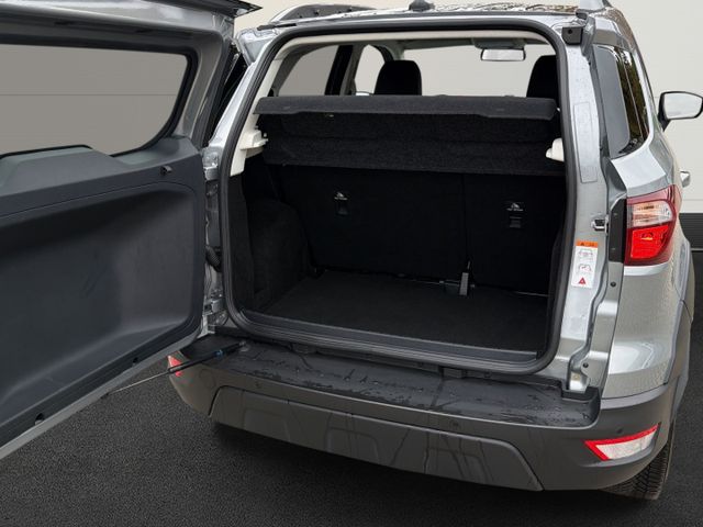 Ford EcoSport Active 1.0 EcoBoost+Kamera+Technik-P+Wi