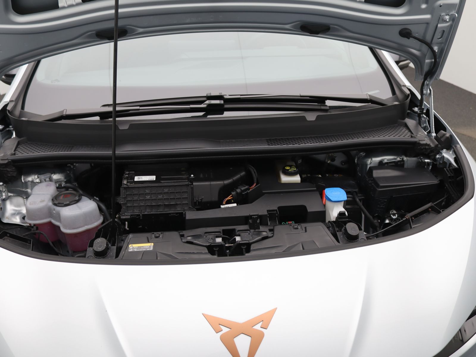 Cupra Born - Bild 18