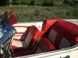 Ford Mustang Convertible 1965 - Ford Mustang aus 1965: Cabrio