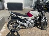 Suzuki Gladius 650 - Offers