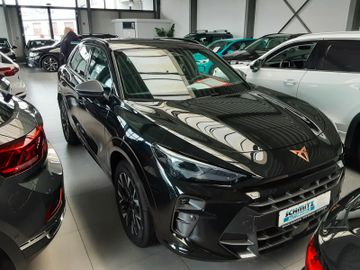 Cupra Terramar - 2