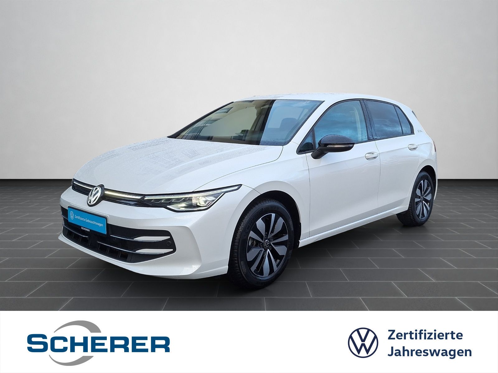 Volkswagen Golf VIII GOAL 2,0 l TDI DSG LED AHK ACC REAR VI