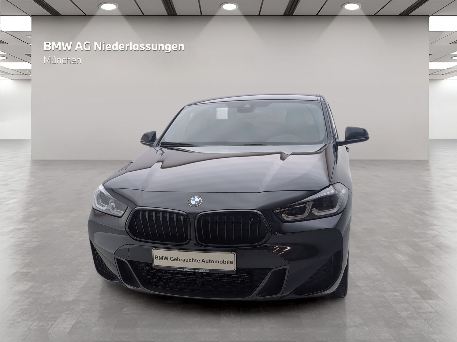 BMW X2 xDrive20i M Sport Navi Harman K Kamera LED foto 3