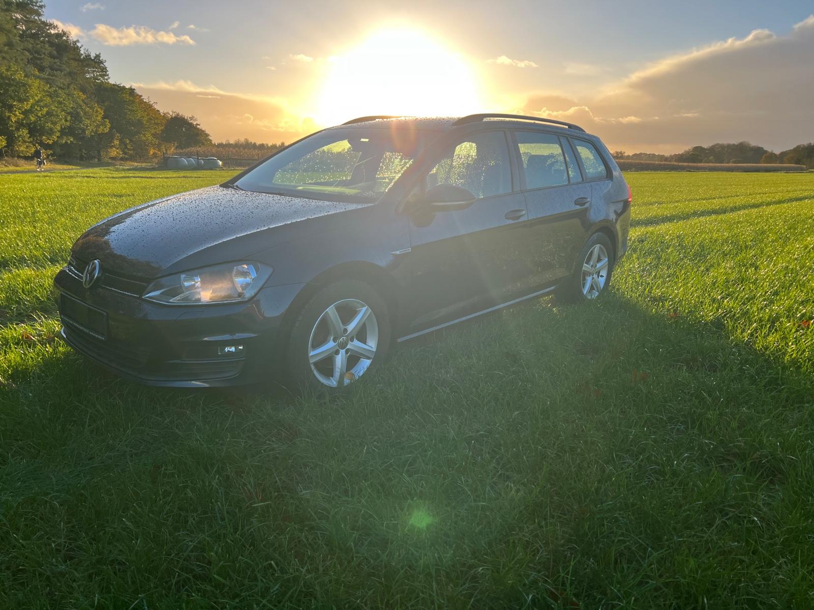 Volkswagen Golf VII 1,6 TDI Variant Trendline BlueMotion